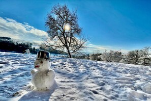 ヴィラ | 5 室のベッドルーム