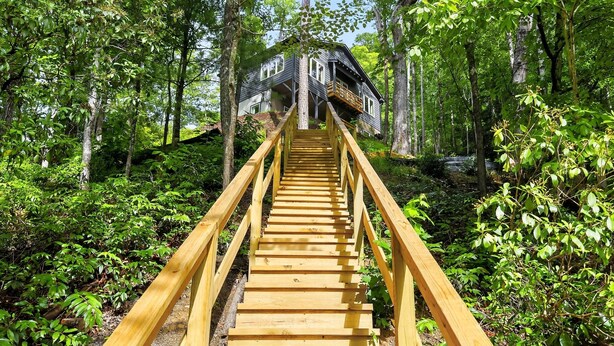Un escalier en bois mène à une maison entourée d’une forêt dense.