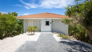 A single-story house with a tiled roof, a white door, and a paved driveway leading to the entrance. - Caribbean Delight Villa With Stunning Pool View (St. Marie)