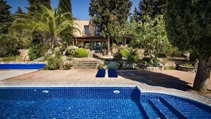 Une piscine dotée d’une plage en pierre, entourée de différents arbres et de plantes.