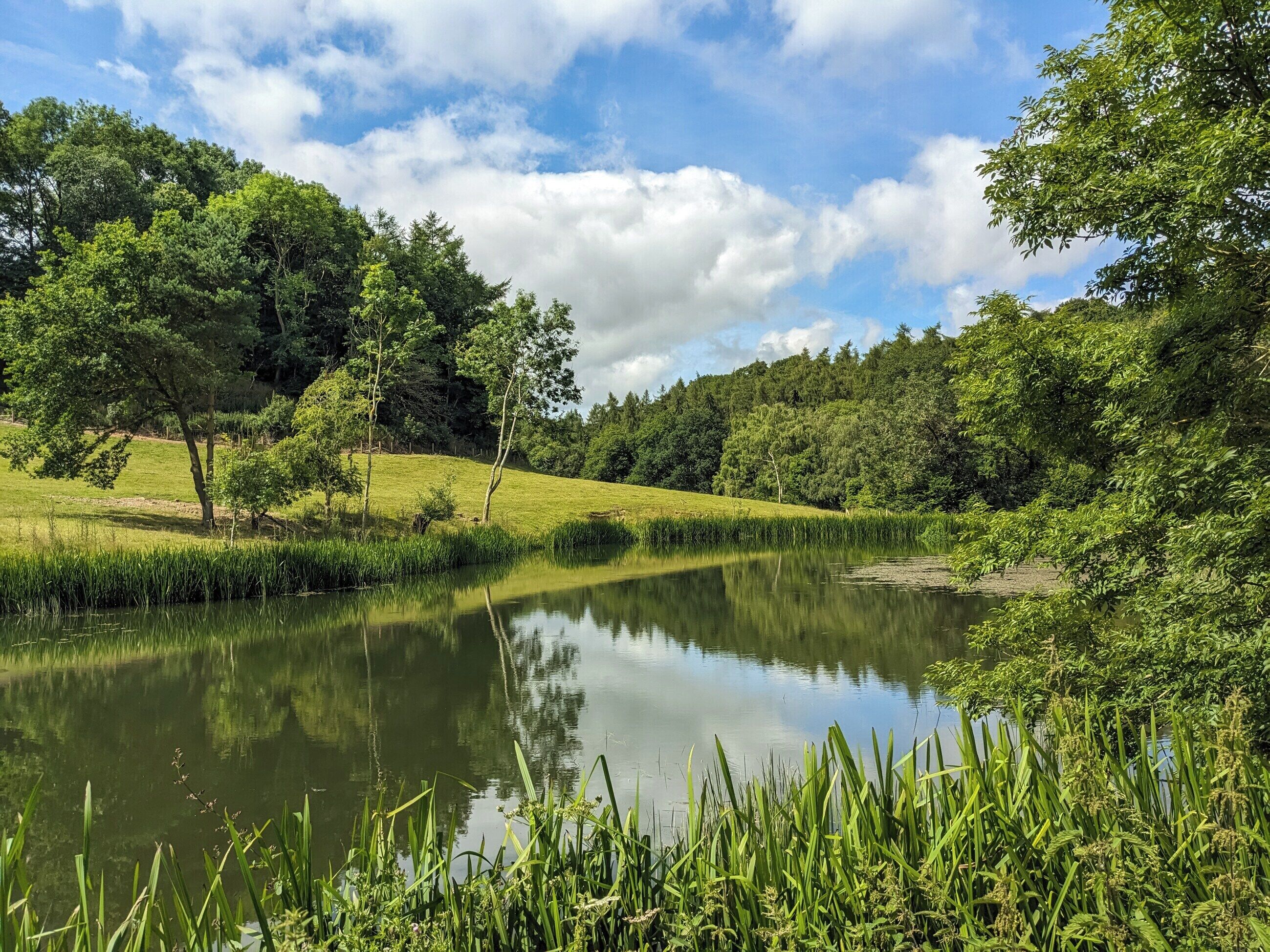 A serene landscape with a calm lake, lush greenery, and trees.