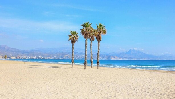 A beach with three palm trees, a clear sky, and a distant mountain range.
