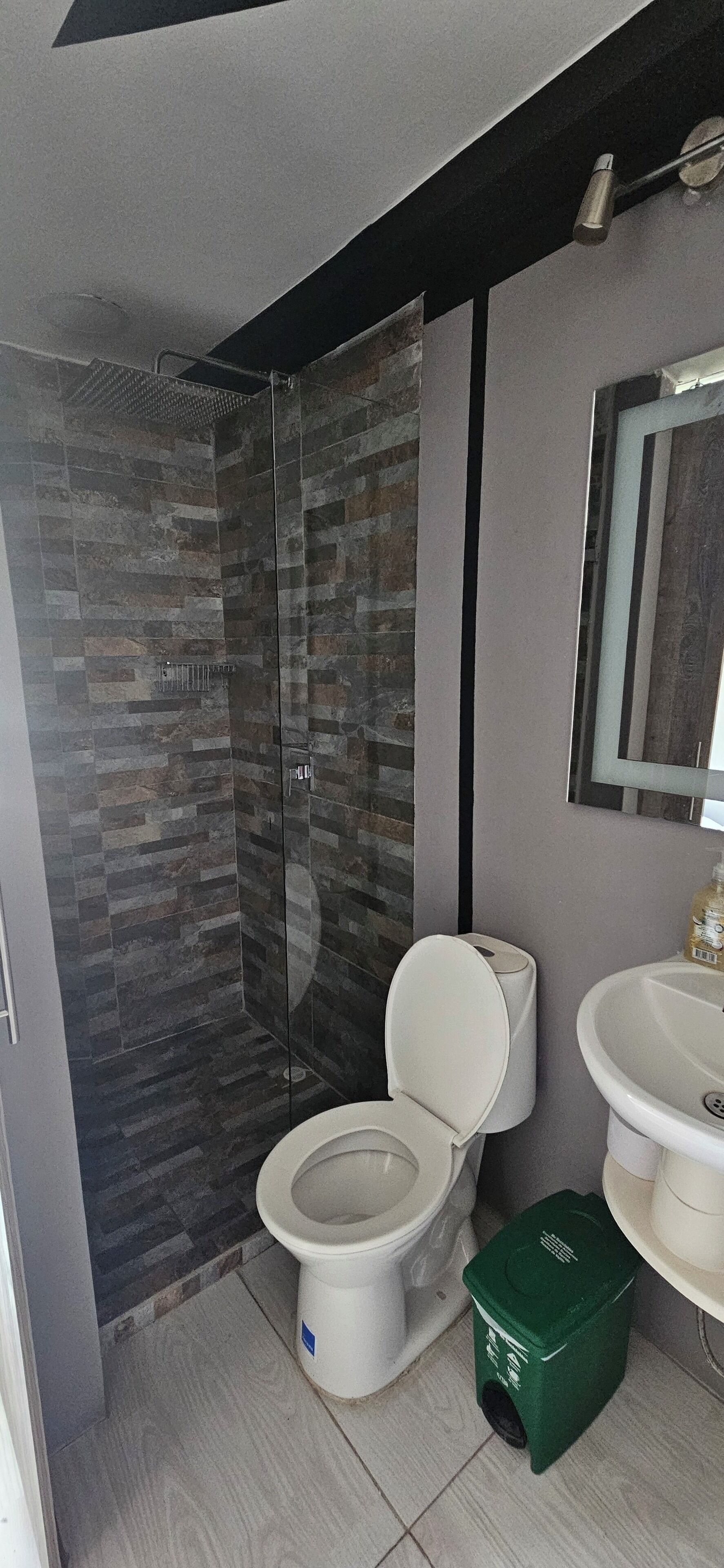 Chuveiro, secador de cabelo, toalhas de banho, shampoo