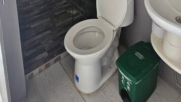 Chuveiro, secador de cabelo, toalhas de banho, shampoo