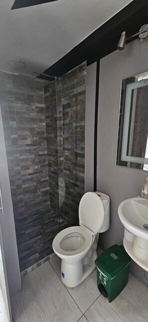 Douche, sèche-cheveux, serviettes fournies, shampoing