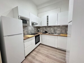 Fridge, microwave, oven, dishwasher - cocon du moulin (Niza)