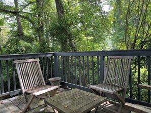 Property grounds - Spacious Oasis in the most Posh Neighborhood of Buckhead, very family-friendly. (Atlanta)