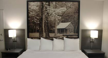 Boarders Inn & Suites