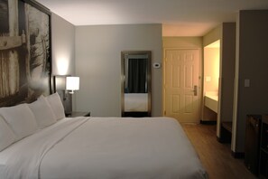 Single Room, 1 King Bed, Non Smoking (Guestroom)