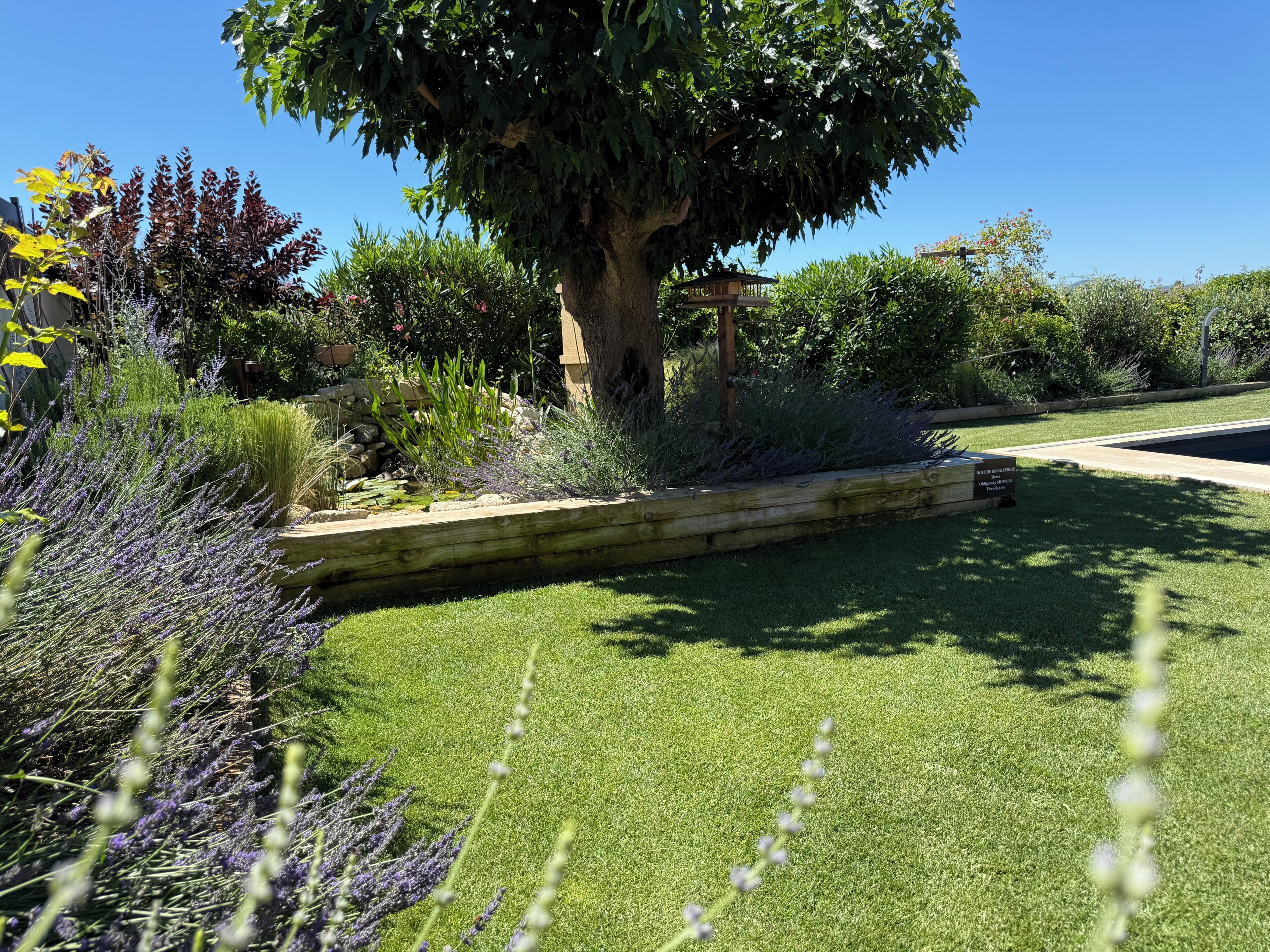 A well-maintained garden with a large tree, a wooden deck, and various plants.
