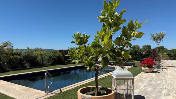 A poolside area with a potted tree, a bottle, and a lantern. - Chambre D'hôtes Une Nuit en Luberon (Puyvert)