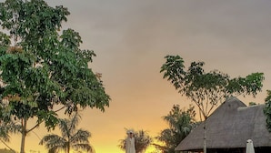A swimming pool with lounge chairs and umbrellas, surrounded by trees and a thatched-roof structure.