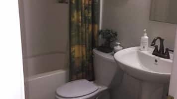 Hair dryer, towels, soap, toilet paper