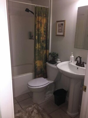 Hair dryer, towels, soap, toilet paper - Sunny lower level house with epic MTN views (Provo)