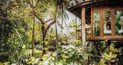 NEW: TREEHOUSE with private pool near YOGABARN ❤