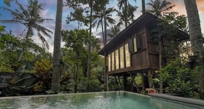 NEW: TREEHOUSE with private pool near YOGABARN ❤