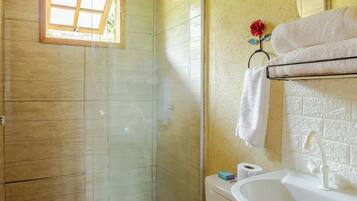 A bathroom with a wooden ceiling, a glass shower enclosure, a white toilet, and a sink with a mirror above it.