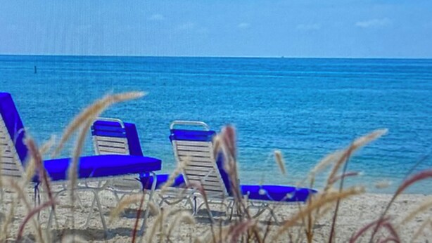 Une plage avec des chaises longues bleues et une vue dégagée sur l’océan.