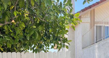 Studio Living / Quiet Neighborhood / Near Airport