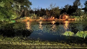 A pond with reflections of lights, surrounded by vegetation and trees. - The Lily Pad- Pool Table Home (Tampa)
