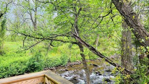 Une terrasse en bois surplombant un ruisseau qui serpente à travers une zone boisée.