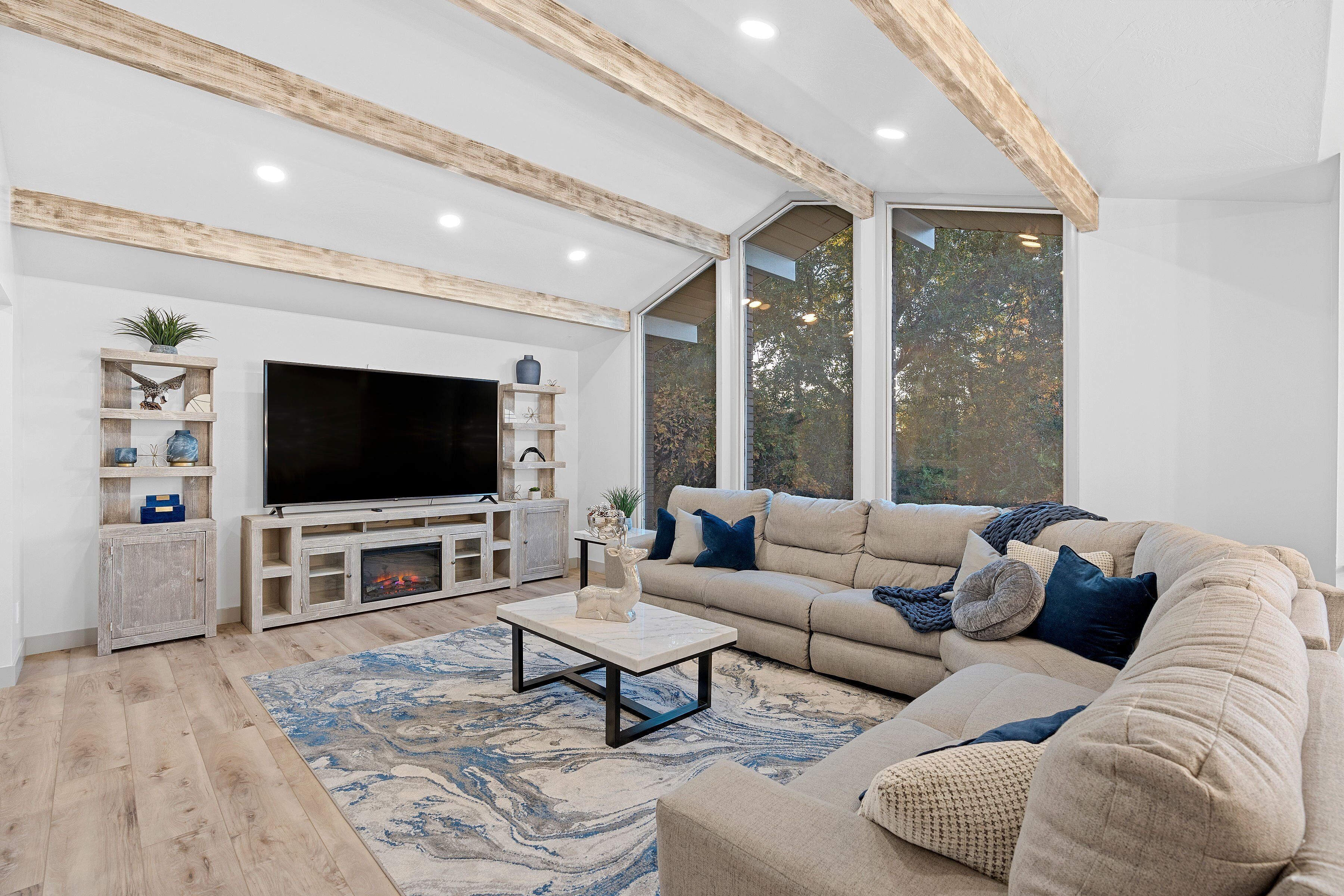 TV, fireplace, books