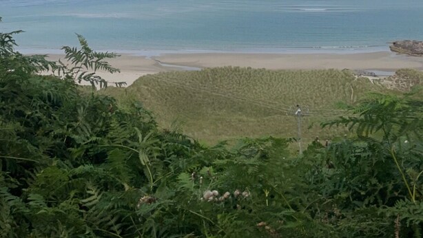 Un paisaje costero con playa, vegetación e islas distantes bajo un cielo nublado.