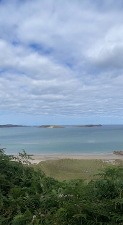 Beach. Peaceful private entrance, 1 minute walk to shops, bus stop; access to 26 bus.