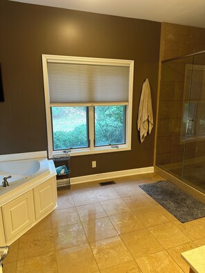 Shower, jetted tub, hair dryer, towels