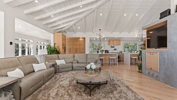 TV, fireplace, table tennis, books