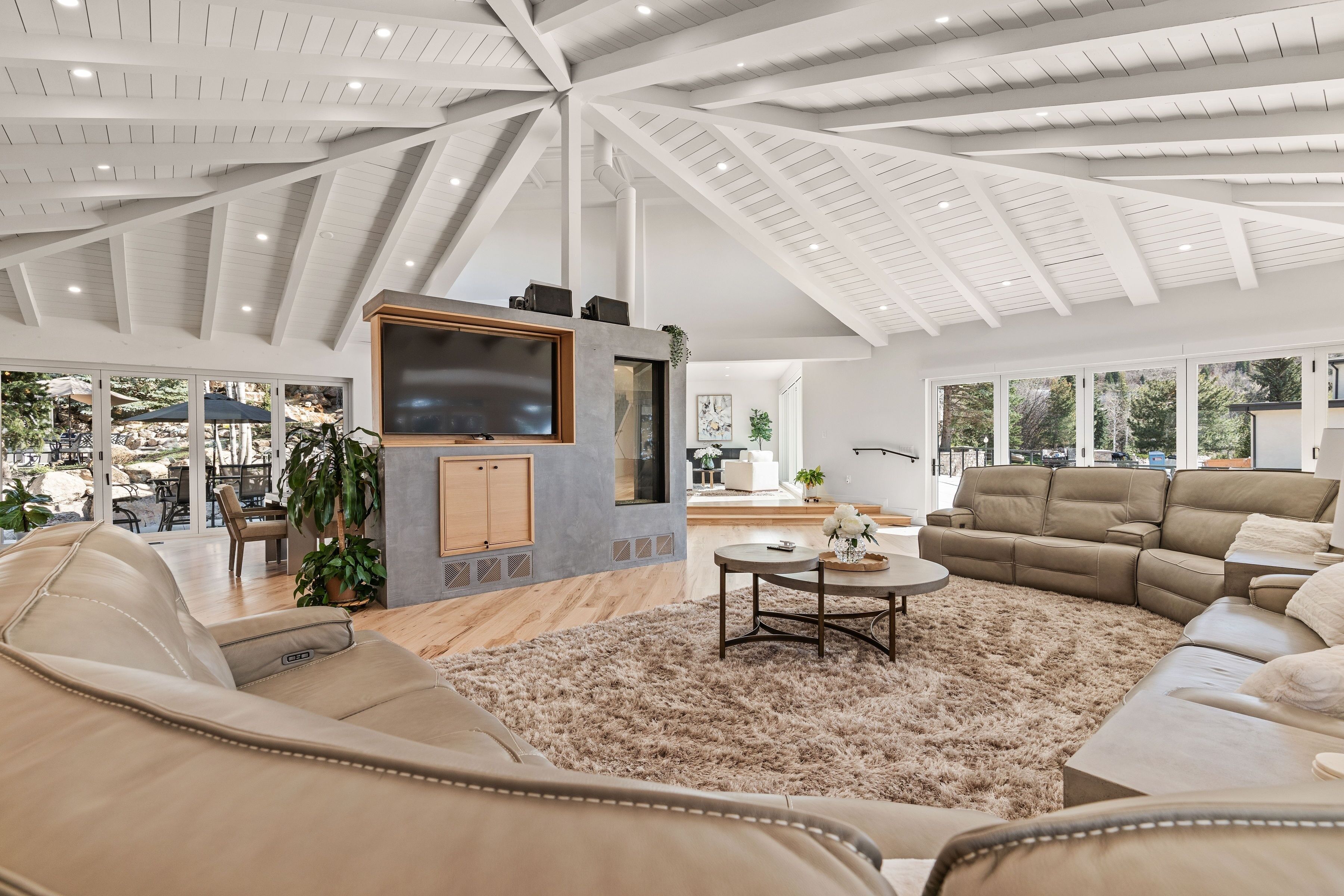 TV, fireplace, table tennis, books