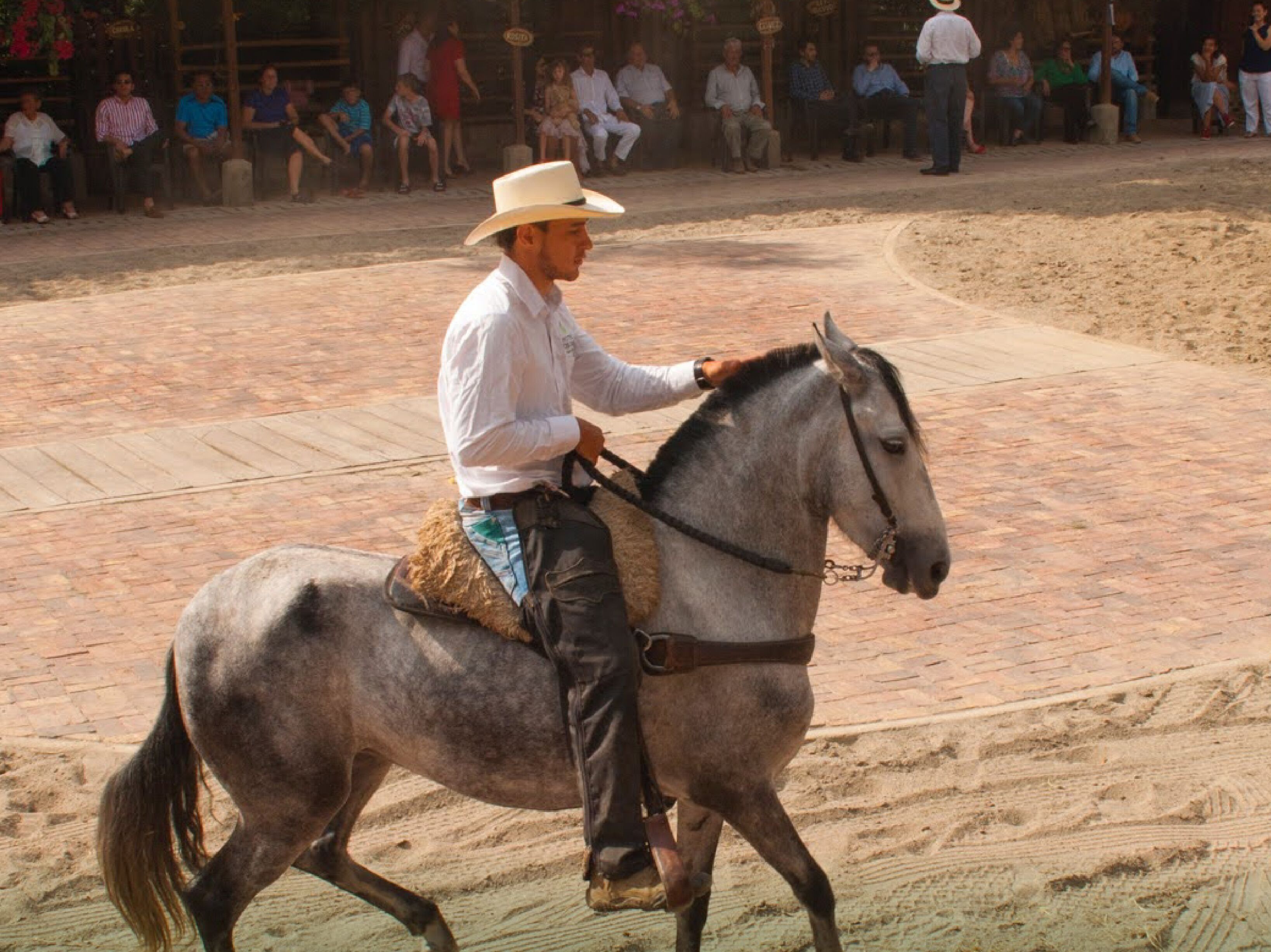 A person riding a horse on a paved surface with a crowd in the background.
