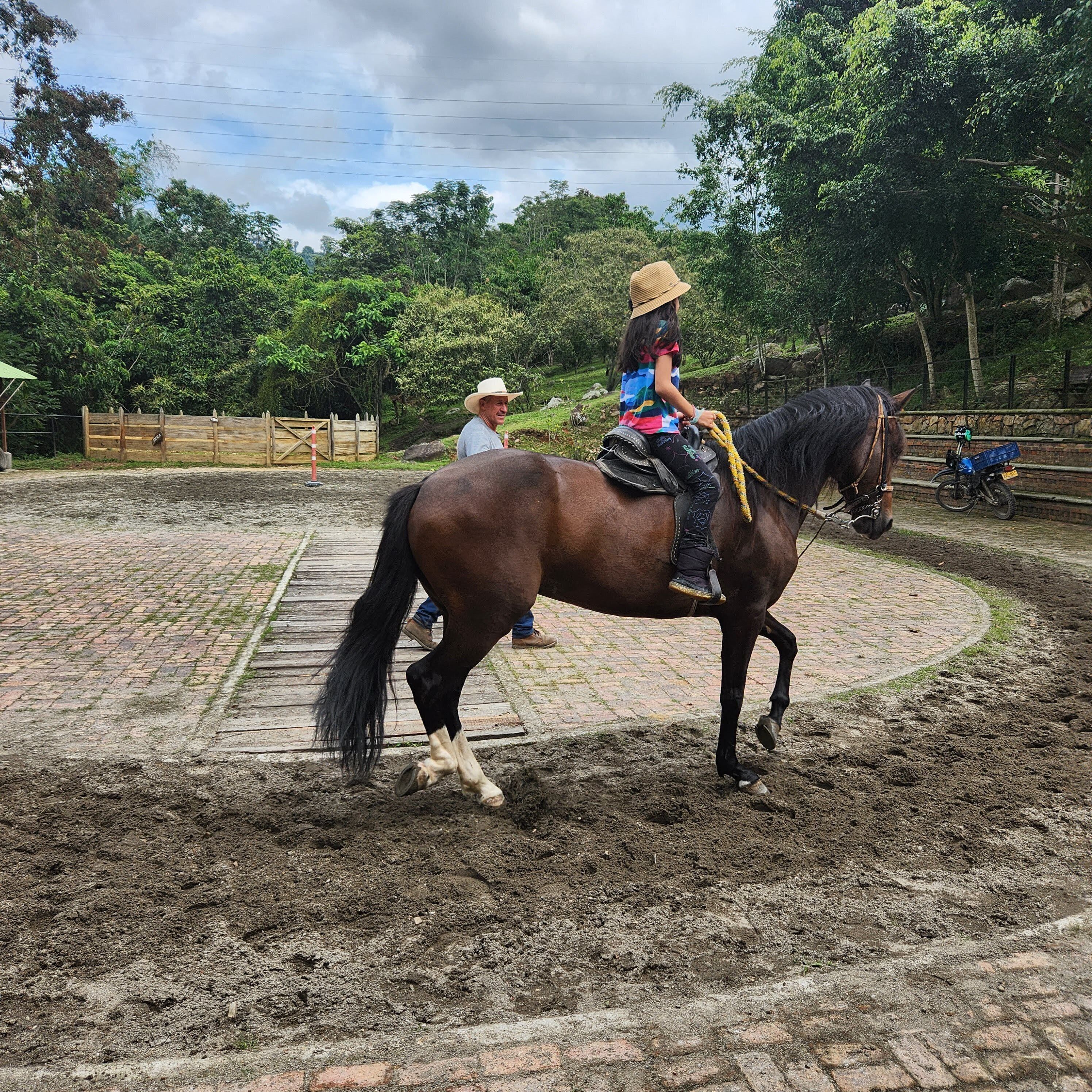 Una persona montando a caballo en una arena al aire libre con suelo de tierra y un sendero de ladrillo.