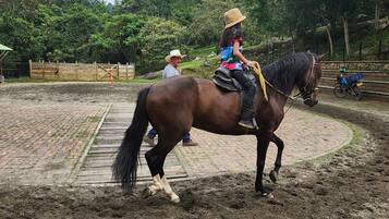 Una persona montando a caballo en una arena al aire libre con suelo de tierra y un sendero de ladrillo.