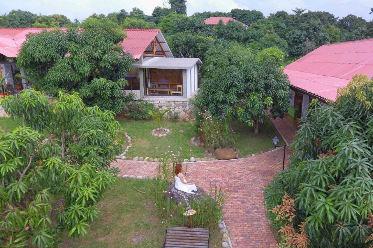 A bungalow with a red roof, surrounded by lush greenery and a well-maintained garden.