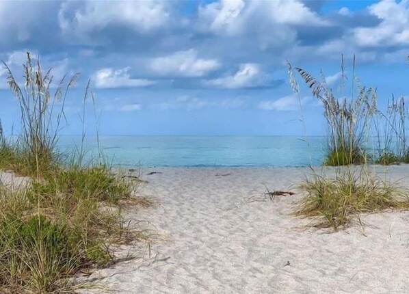 A sandy beach with tall grass in the foreground and a calm sea in the background. - Waterfront Retreat: Fish, Kayak,Paddleboard on Property +Pool/Spa-Heat available (Englewood)