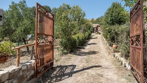 Un cancello rustico che si apre su un uliveto, con mura in pietra e piante in vaso.