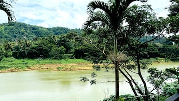 Vista desde la propiedad