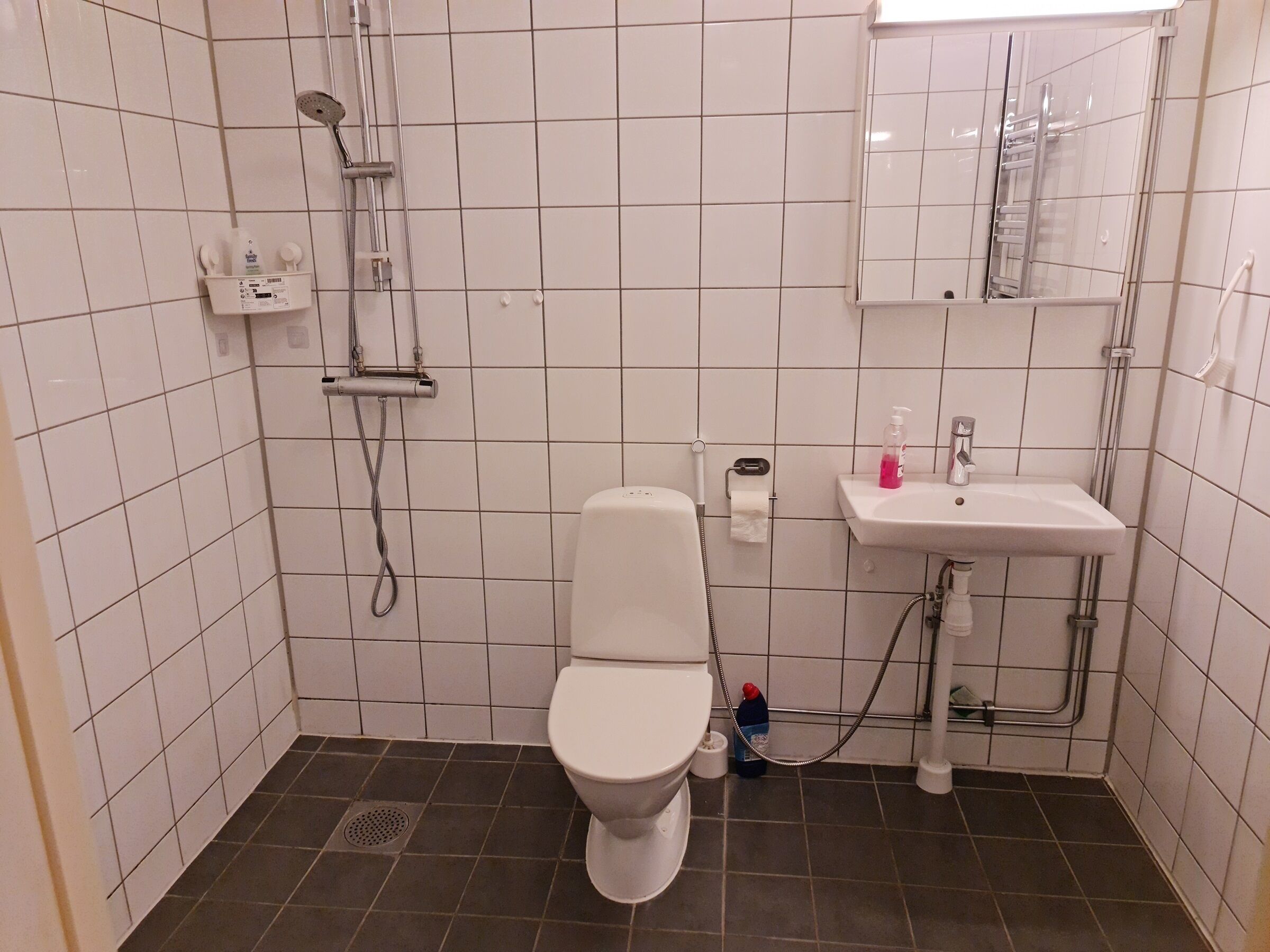 Douche, sèche-cheveux, bidet, serviettes fournies