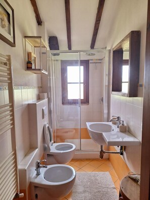 Hair dryer, bidet, towels, soap - LA SELVA - Authentic Countryside Escape (Certaldo)