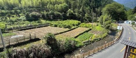 A rural landscape with terraced fields, a winding road, and a wooden fence.