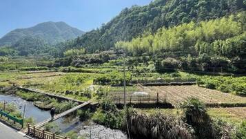 A rural landscape with terraced fields, a bridge, and a river.