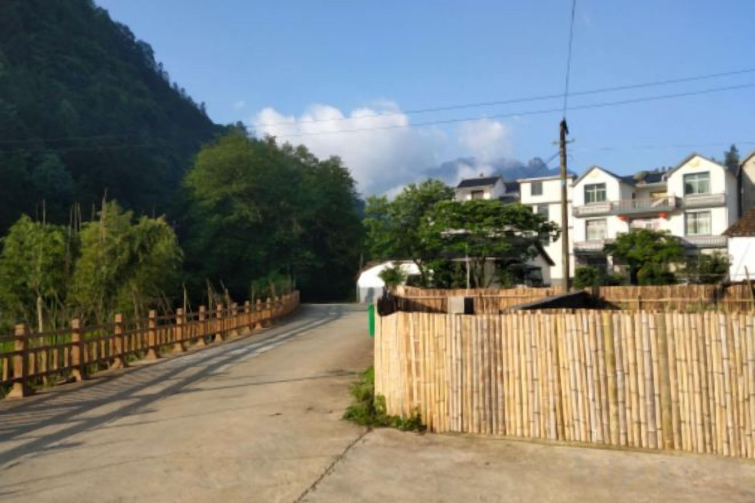 Una calle residencial con casas, un seto de bambú y cielo despejado.