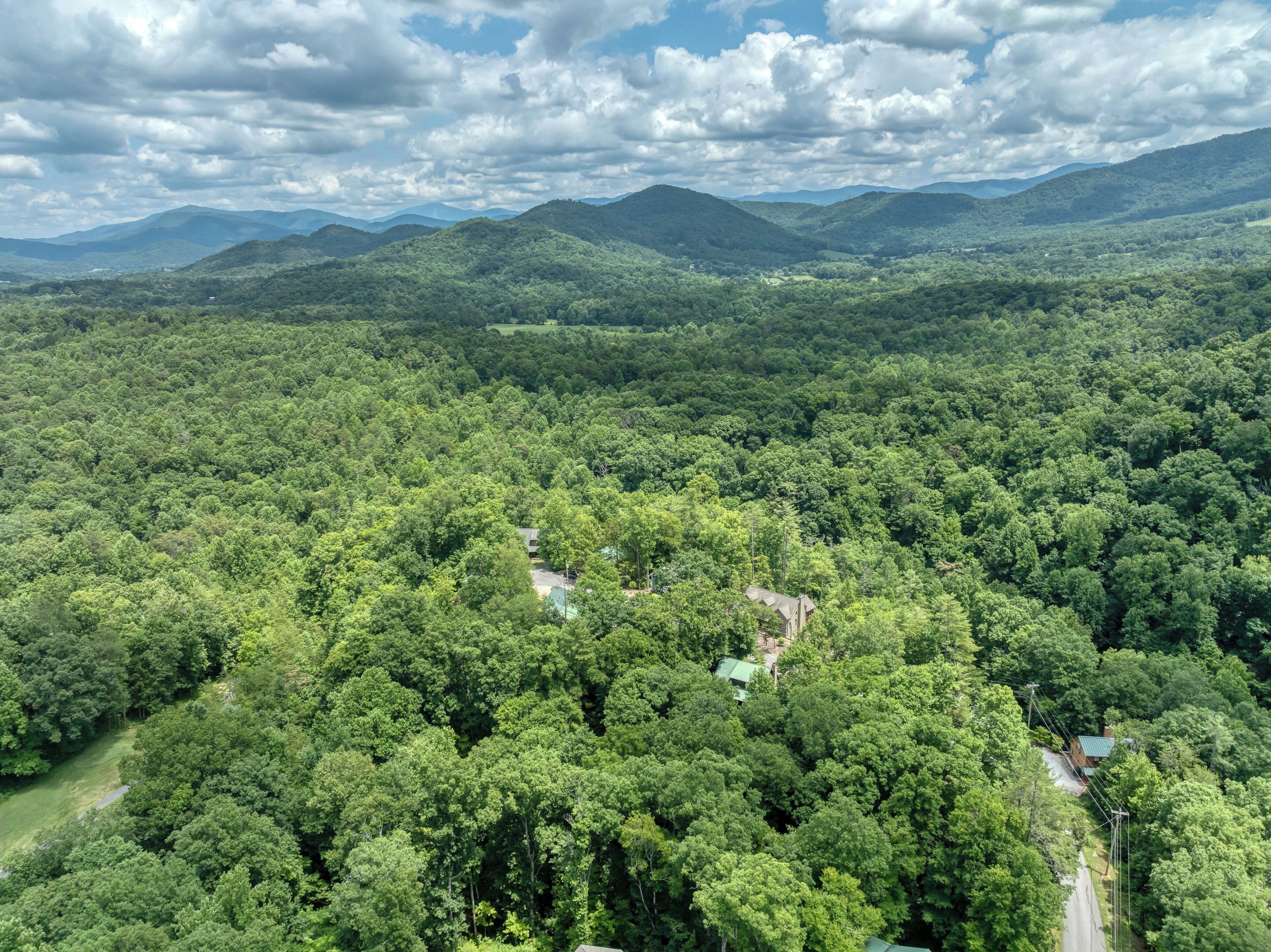 A dense forest with a road and a small building with a green roof.