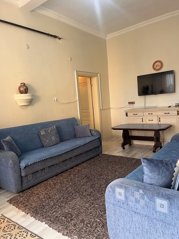 A living room with a blue sofa, a coffee table, a TV, and a patterned rug.