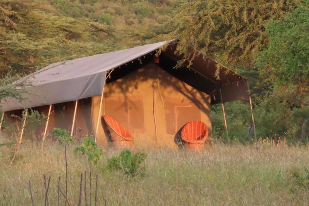 Una carpa con dos sillas naranjas, rodeada de hierba alta y árboles.