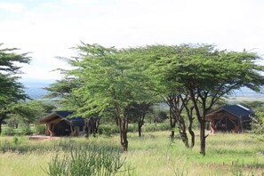 Jardines del alojamiento