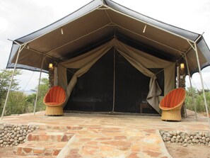 Terras