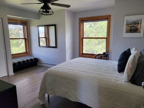 4 bedrooms, WiFi, bed sheets - 4-bedroom get away with large kitchen, patio and backyard (Carbondale)