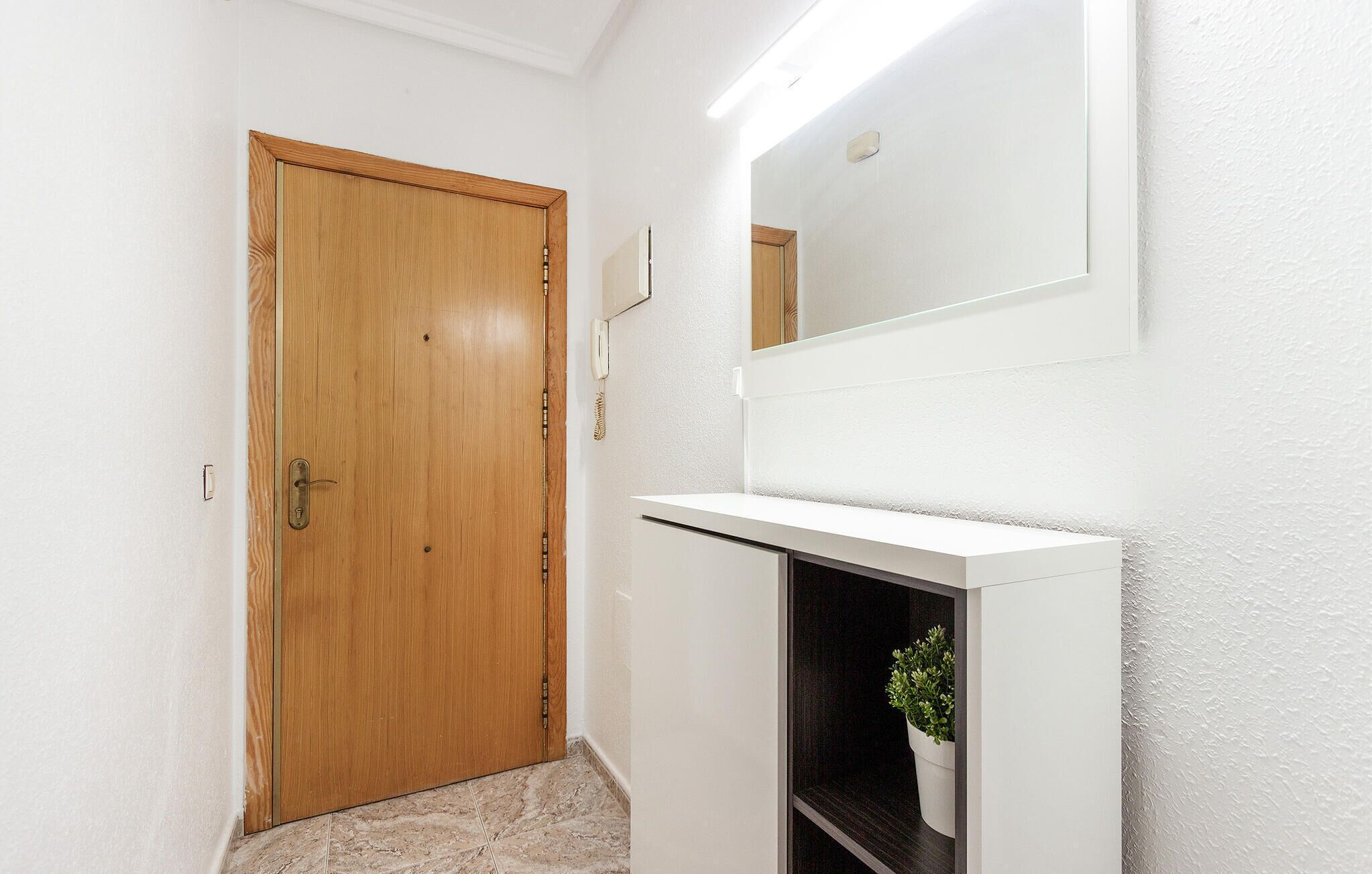 A hallway with a wooden door, a white wall, a mirror, and a white console with a plant.